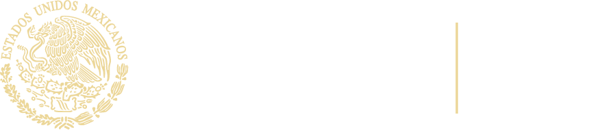 Gobierno de México e IMSS